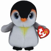 Pongo